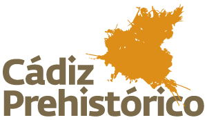 Colaborador 1